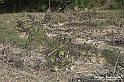 VBS_7577 - Andare lontano, oltre i campi da arare... e ancora più in là